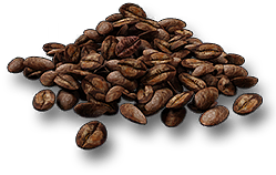 Item_Icon_ActivityCafe_Bean.png
