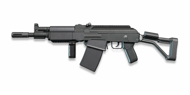 sg_r1.png