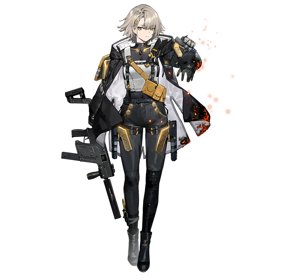 ドルフロ ヴェクター 