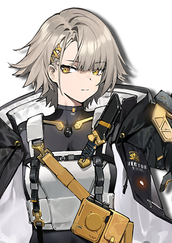 roles_Vector.png