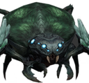 コモリグモ.png